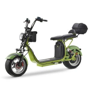 Citycoco Harley 3000W skuter
