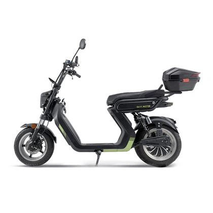 800W električni skuter sa sjedalom za odrasle